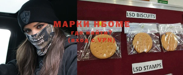 эйфоретик Покачи