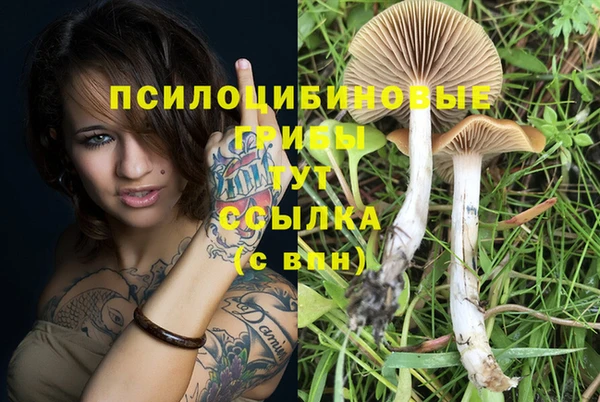 MDMA Алексин