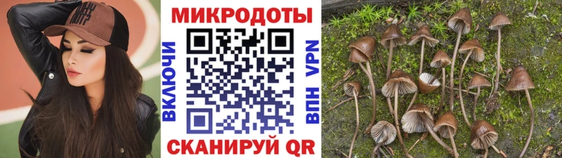 hydra вход  Каневская  Галлюциногенные грибы мухоморы 